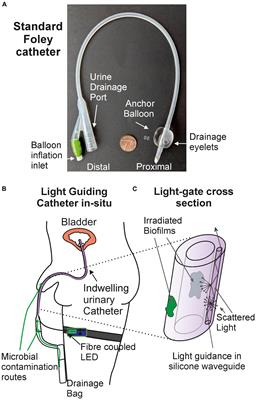 A light-guiding urinary catheter for the inhibition of Proteus mirabilis biofilm formation